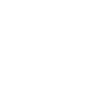 Auto finesse logotyp